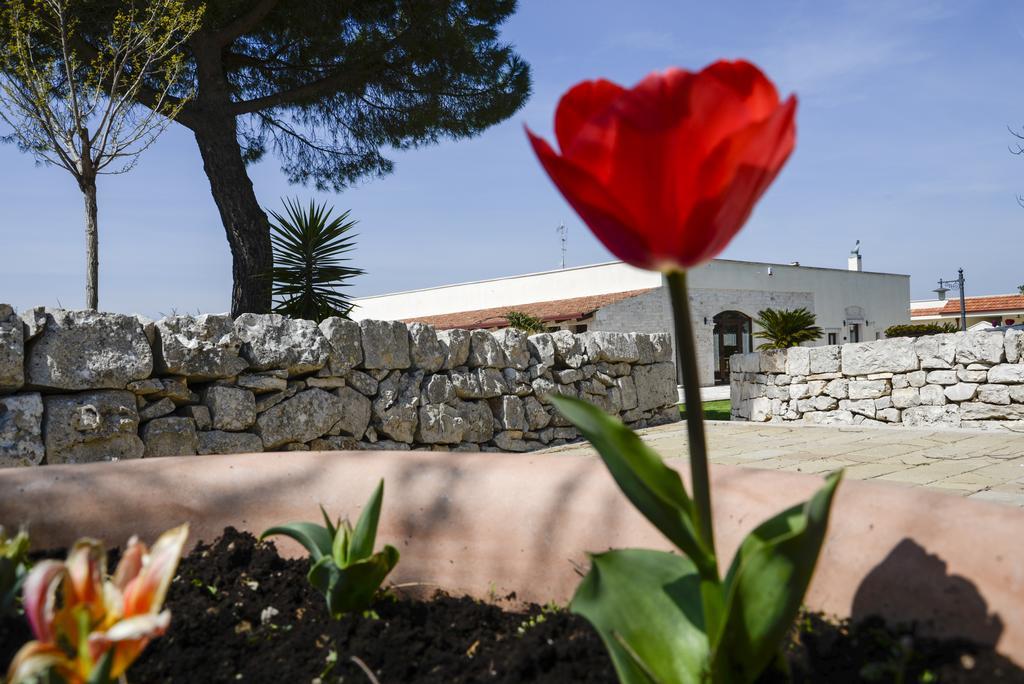Masseria Gravelle 투리 외부 사진