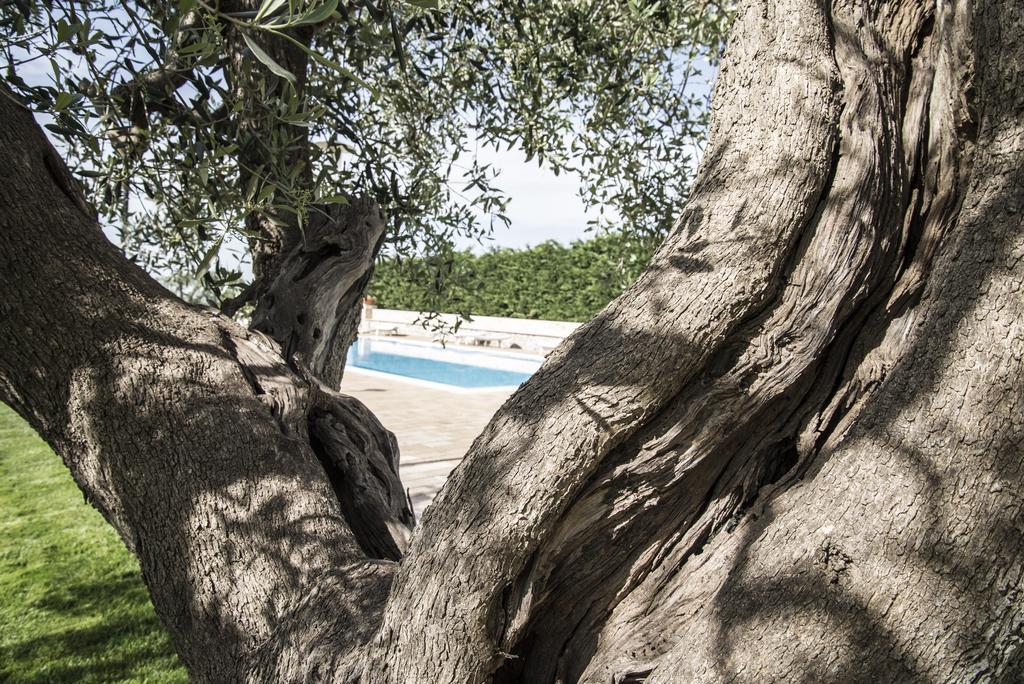 Masseria Gravelle 투리 외부 사진